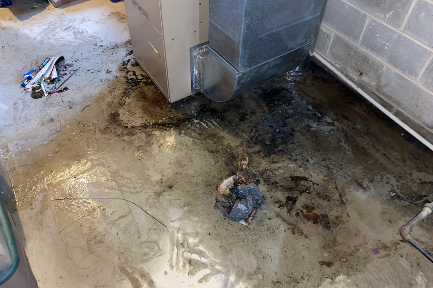 water damage cleanup before