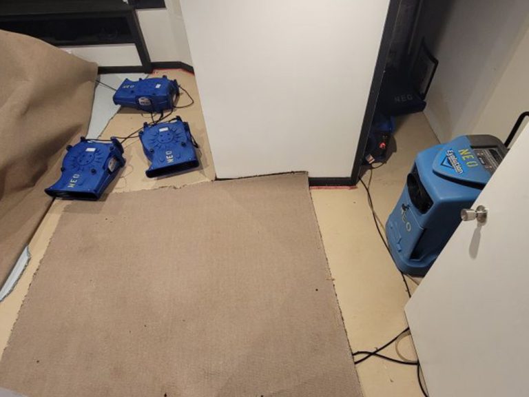 water damage restoration