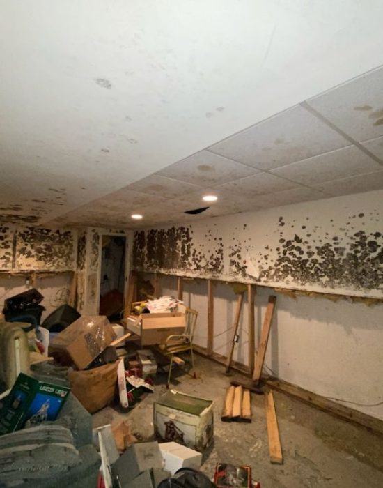 Mold damage in house from ac